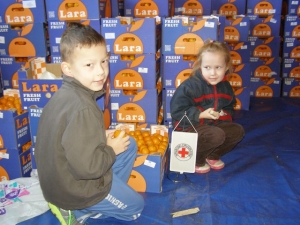 Donacija mandarina